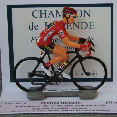 20001 - P. Roglic - VTA 2020